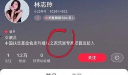 玲姐特效爆料视频下载安装,下载安装攻略全解析